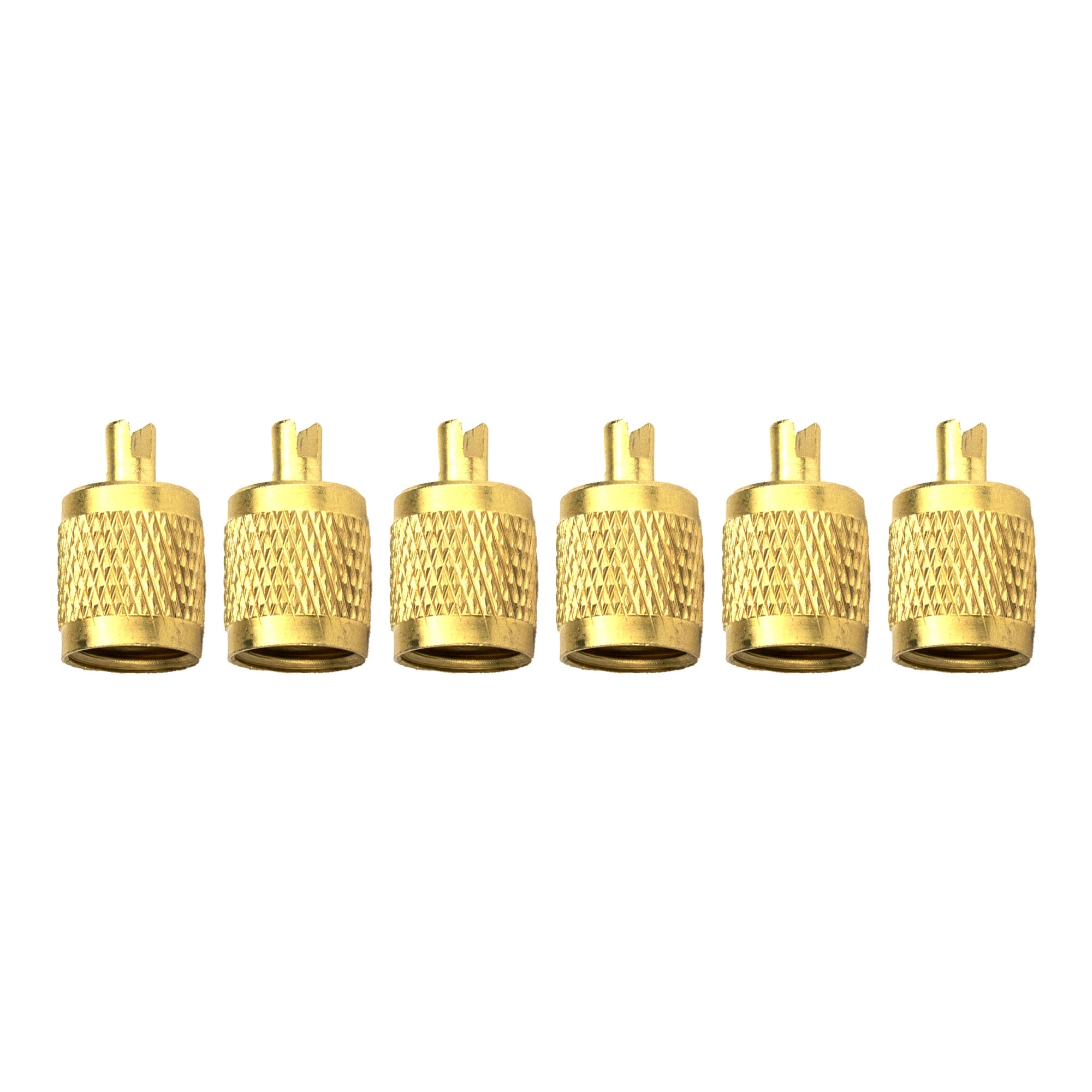 RAV2 1/4" SAE Brass Cap with Core Remover