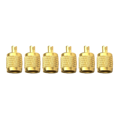 RAV2 1/4" SAE Brass Cap with Core Remover