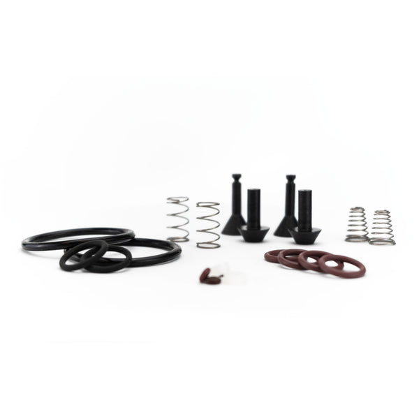 Oilless Compressor Valve Rebuild Kit | Fits TRS21/TR21 Recovery Units